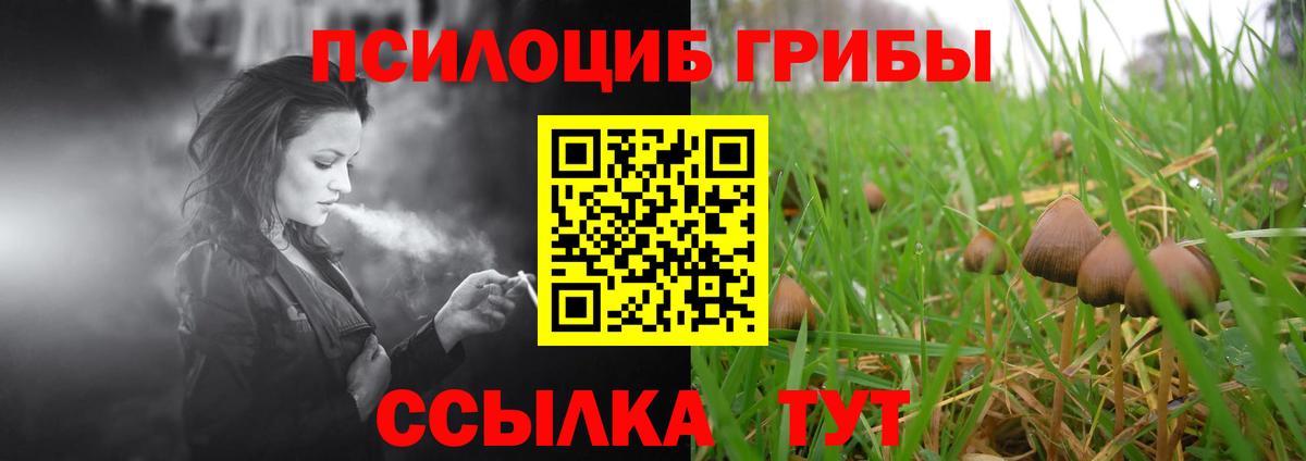 Псилоцибиновые грибы мицелий Ревда